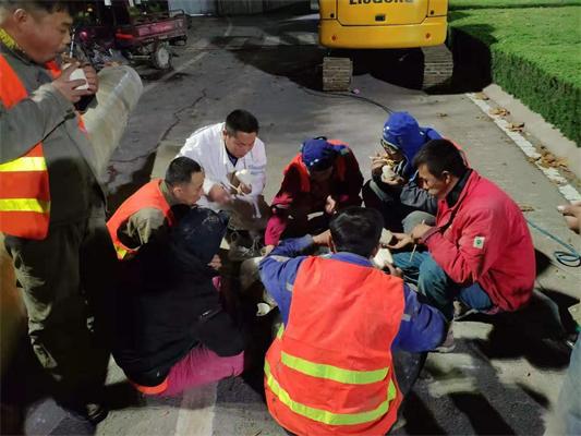 工程施工我們不懼寒暑